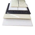 পিভিসি অভ্যন্তরীণ সিলিং প্যানেল